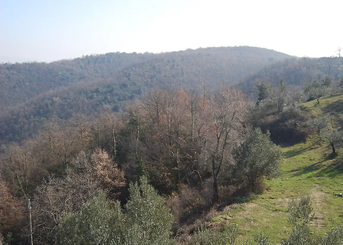 Castello Di Cisterna